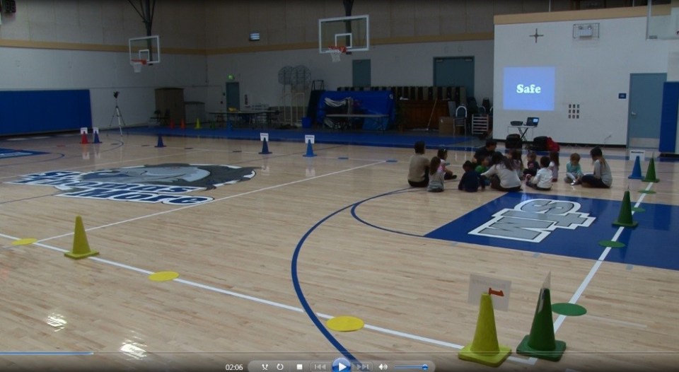 Week 11 Balance Week 11 Balance on Multiple Body Parts – Set up & Station Cards ...