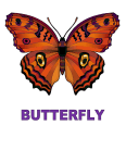 Dynamic Body Shapes Butterfly