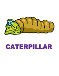 Dynamic Body Shapes Caterpillar